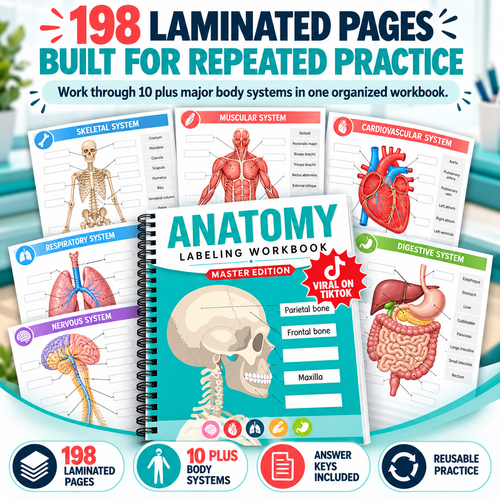 Anatomy Labeling Dry Erase Workbook