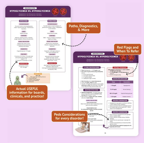 The Essential Family Nurse Practitioner Guide