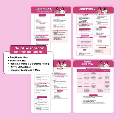 The Essential Family Nurse Practitioner Guide