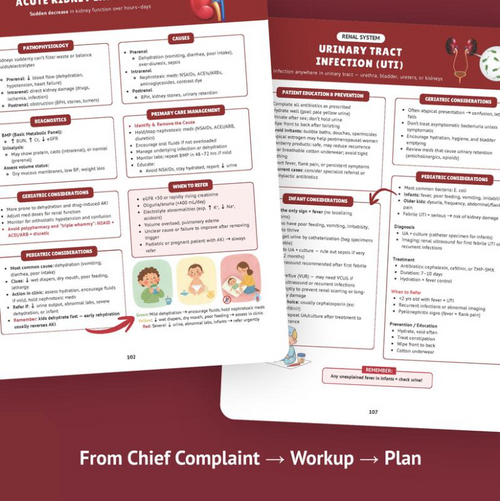 The Essential Family Nurse Practitioner Guide