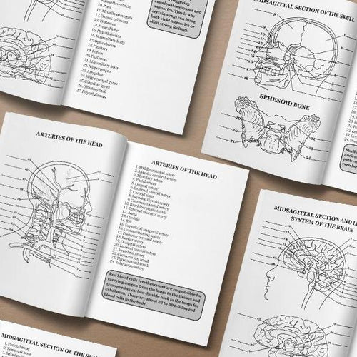 Human Anatomy Coloring Book: 100+ Illustrations & Facts in Anatomy